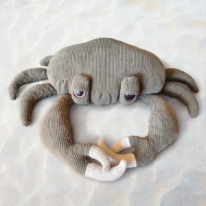 Crab