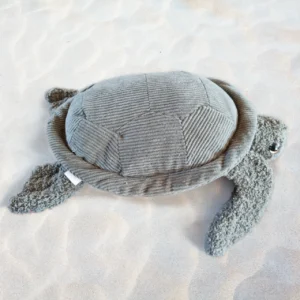 Sea Turtle