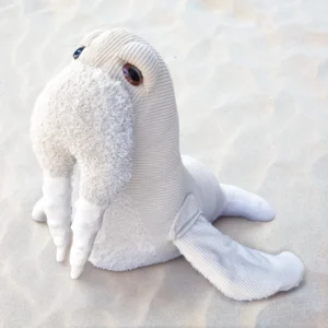 Walrus